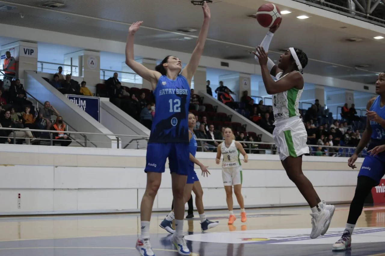 Resmi galeri arşivinden basketbol fotoğrafı